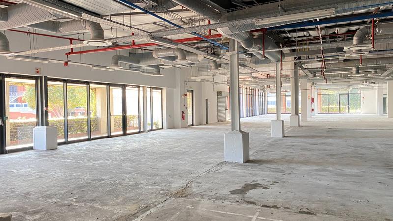To Let commercial Property for Rent in Observatory Western Cape
